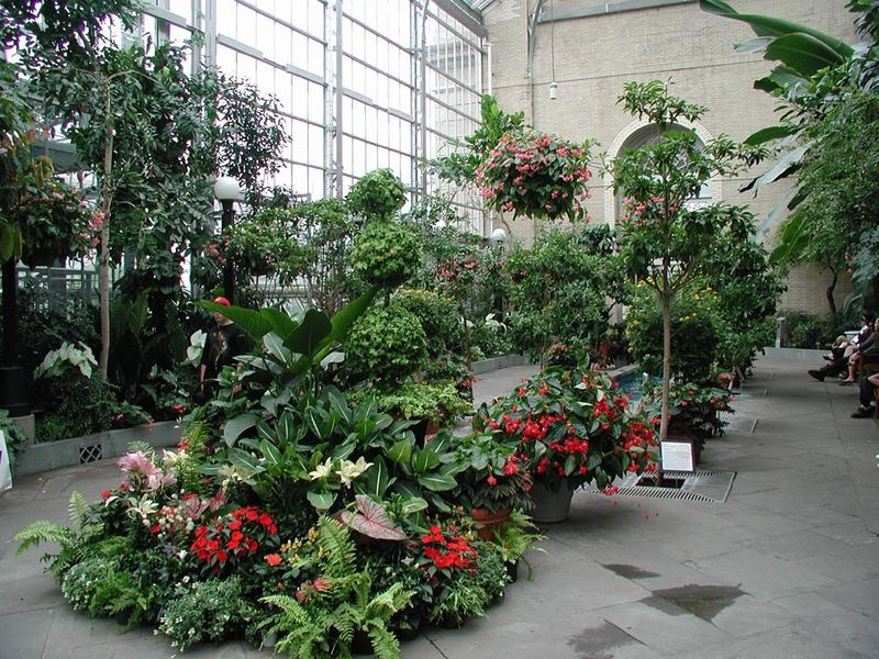 File:US botanic garden 3.jpg