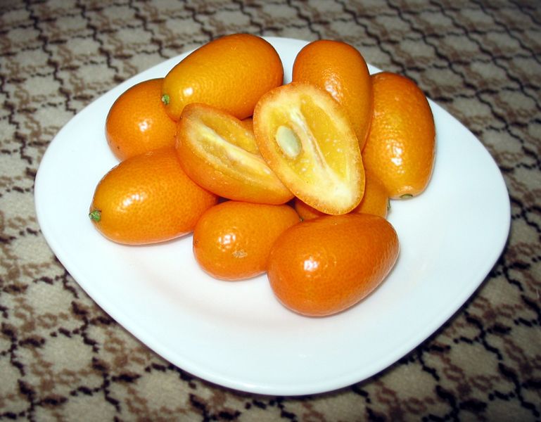 File:Kumquat-Crosssection.jpeg