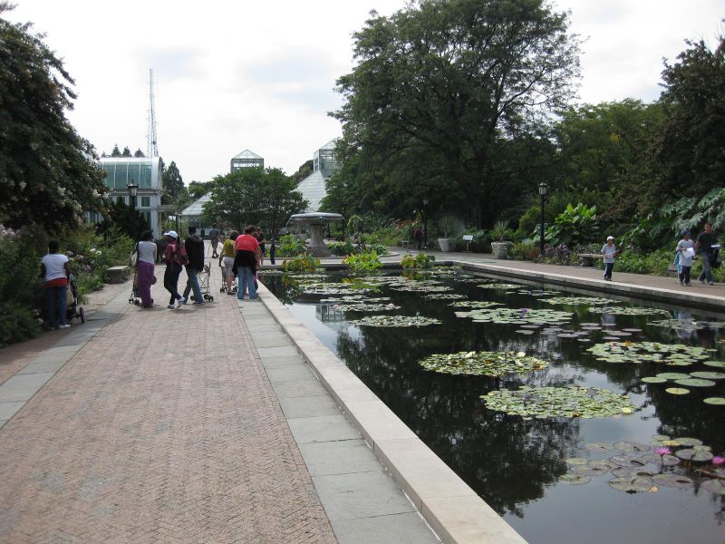 File:IMG 0818 bbg09.jpg