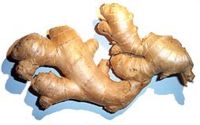 ginger rhizomes