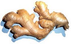 ginger rhizomes