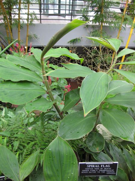 File:IMG 0920 bbg09.jpg