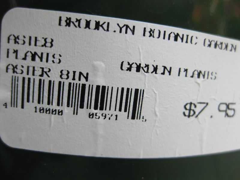 File:IMG 0864 bbg09.jpg