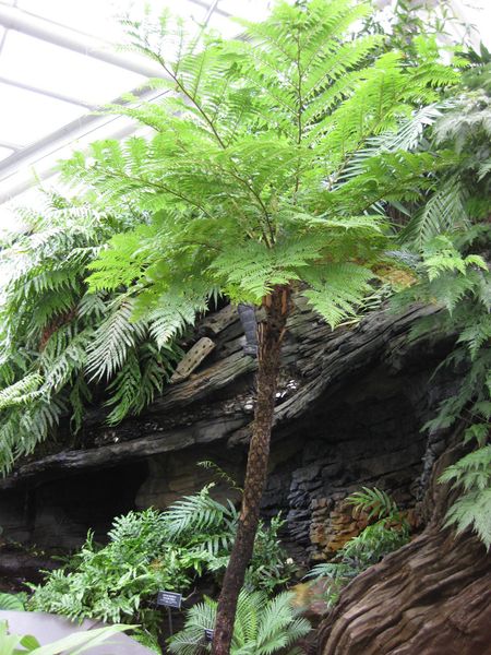 File:IMG 0913 bbg09.jpg