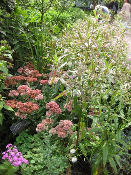 File:IMG 0867 bbg09.jpg