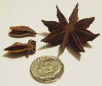 Star anise fruits (Illicium verum)