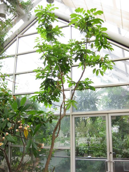 File:IMG 0974 bbg09.jpg