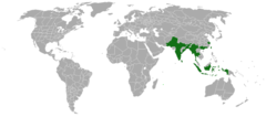 Range of Acacia catechu