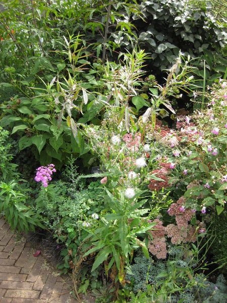 File:IMG 0865 bbg09.jpg