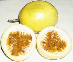 Ripe yellow passion fruit, or "maracuyá"